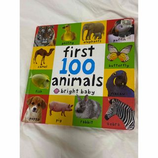 first100animals アニマル図鑑　英語(絵本/児童書)