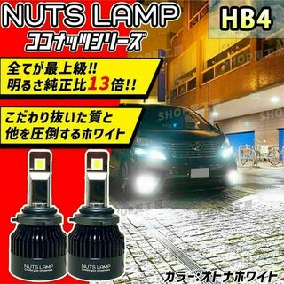 車 HB4 ライト フォグライト フォグランプ LED ホワイトNUTSLAMP