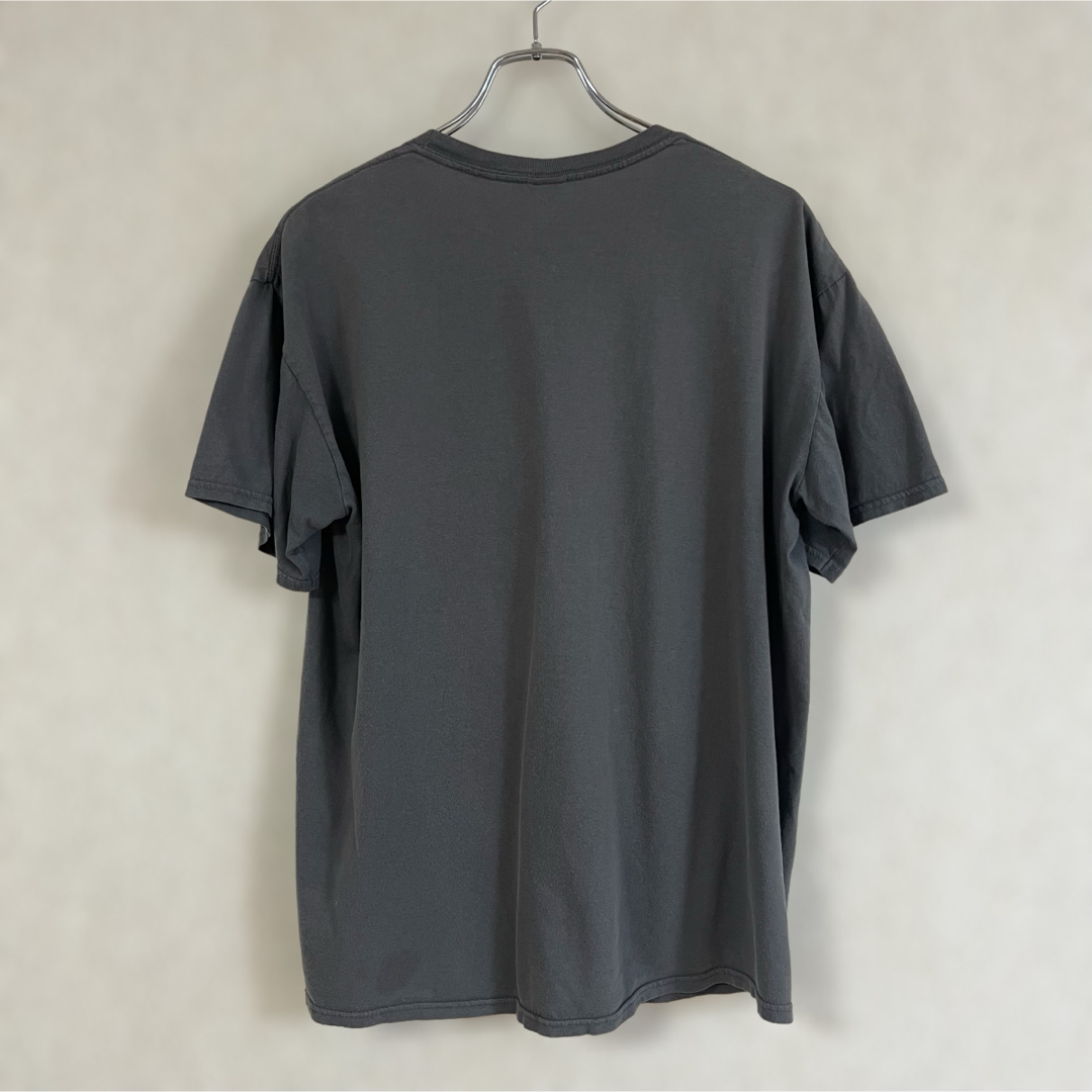 アメリカ合衆国 国鳥 白頭鷲  Bald Eagles Tシャツ メンズのトップス(Tシャツ/カットソー(半袖/袖なし))の商品写真