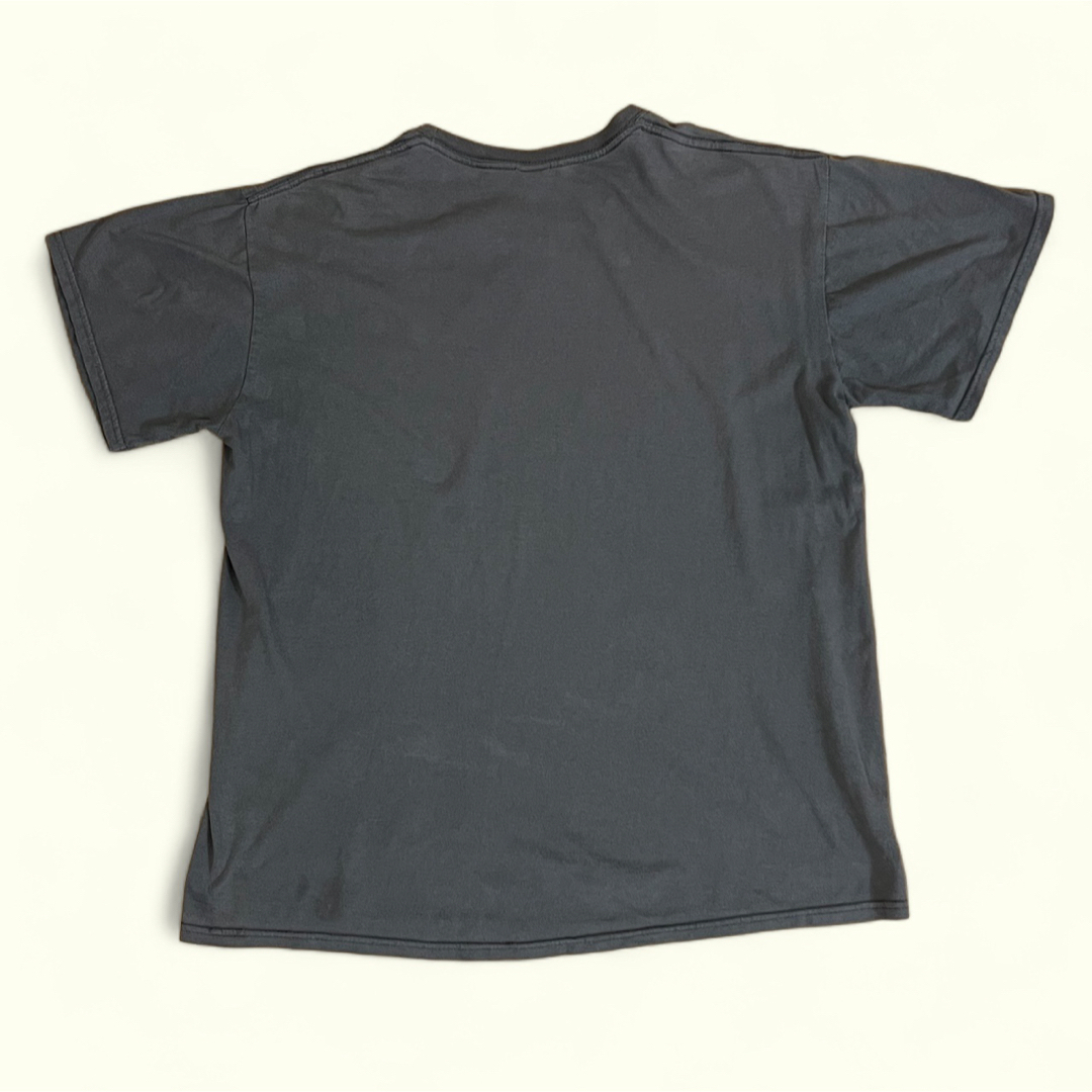 アメリカ合衆国 国鳥 白頭鷲  Bald Eagles Tシャツ メンズのトップス(Tシャツ/カットソー(半袖/袖なし))の商品写真