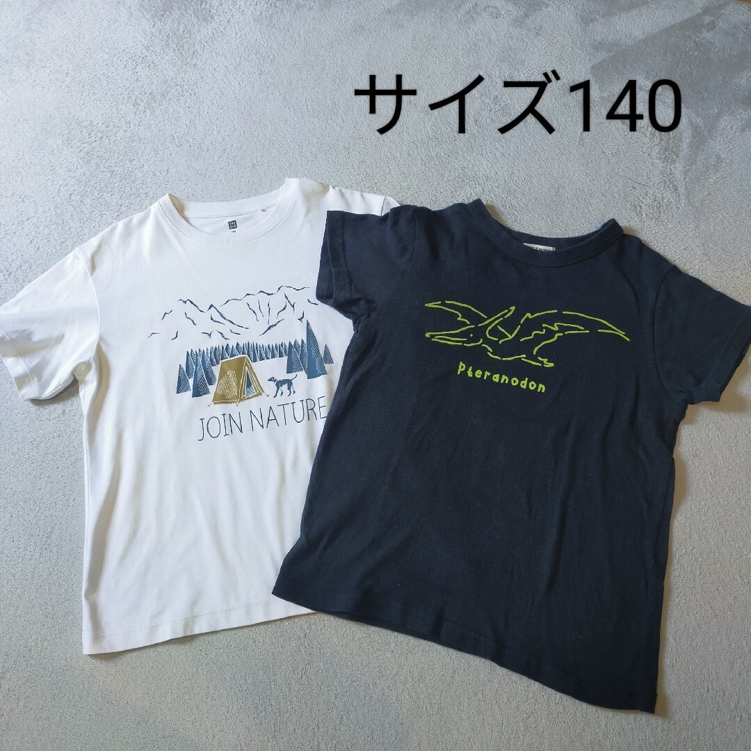 NEEDLE WORKS ニードルワークス 恐竜柄Tシャツ 140 プテラノドン キッズ/ベビー/マタニティのキッズ服男の子用(90cm~)(Tシャツ/カットソー)の商品写真