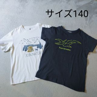 NEEDLE WORKS ニードルワークス 恐竜柄Tシャツ 140 プテラノドン(Tシャツ/カットソー)