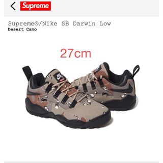 シュプリーム(Supreme)のSupreme Nike SB Darwin Low "Desert Camo"(スニーカー)