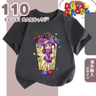 残りわずか【限定SALE】アメデジ ポムニ 半袖Tシャツ C110ダークグレー(Tシャツ/カットソー)