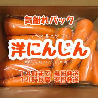 【気紛れ】2kg　洋にんじん　ハウスニンジン　人参　野菜　産地直送　期間限定(野菜)