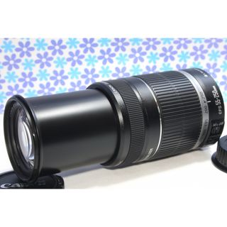 キヤノン(Canon)の超望遠レンズ★Canon EF-S 55-250mm IS★手振れ補正★(レンズ(ズーム))