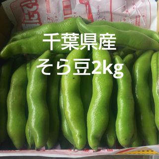 千葉県産そら豆２kg栽培期間中農薬不使用(野菜)