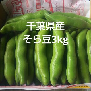 千葉県産そら豆３kg栽培期間中農薬不使用(野菜)