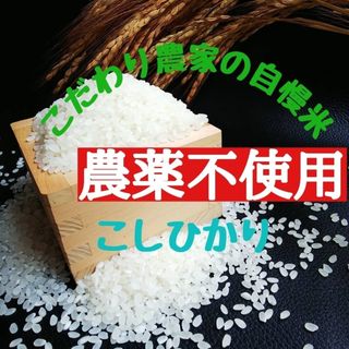 こだわり農家の自慢米  白米10㎏(無農薬栽培)　　　　　令和5年産(米/穀物)