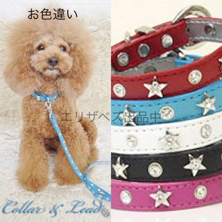 牛革 カラー ＆ リード セット スター ビジュー ピンク 星 レザー 首輪(犬)