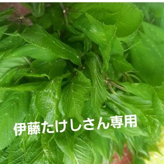 こしあぶら～天然(野菜)