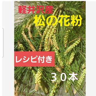 ひょっと娘様専用★軽井沢産 松の花粉３０本 雄花付き赤松 松葉 松花粉新芽(野菜)