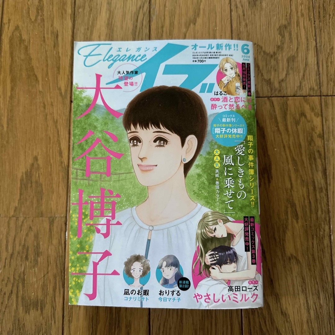 エレガンスイブ＆JOUR6月号　2冊セット　専用です‼︎ エンタメ/ホビーの漫画(女性漫画)の商品写真