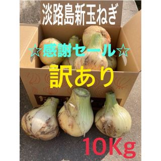 ★訳あり10Kg★淡路島新玉ねぎ　たまねぎ　玉葱(野菜)