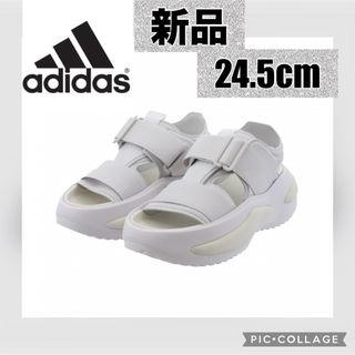 adidas - 新品　adidas スポーツサンダル　24.5cm