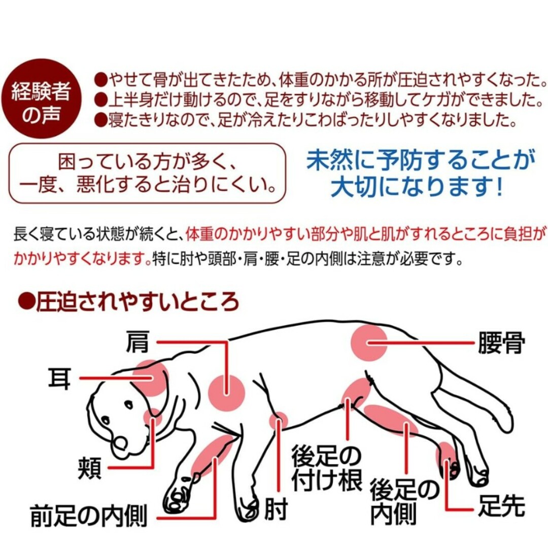 Petio(ペティオ)の【中古品】ペティオ (Petio) 床ずれ予防サポーター 老犬介護用 小 その他のペット用品(犬)の商品写真