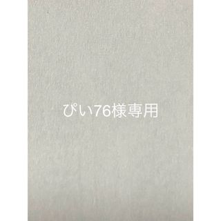 リクエスト出品(ぴい76様専用)(その他)