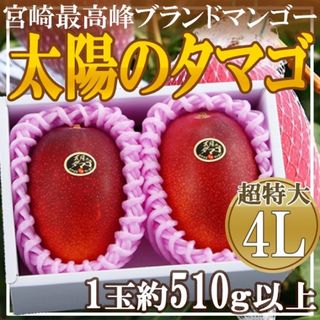 宮崎県産　太陽のタマゴ　4L　1箱2玉入り　1玉約510g以上　クール便発送(フルーツ)