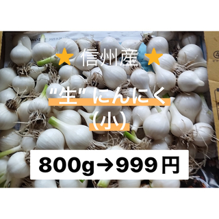 "生"にんにく　宅急便コンパクトいっぱい　800g〜900g　長野県産　信州産(野菜)