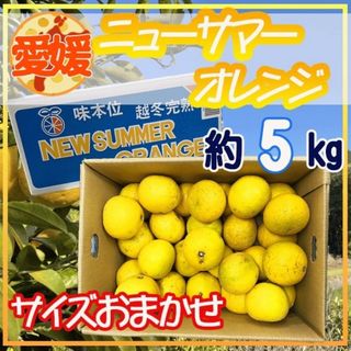 愛媛県産ニューサマーオレンジ　5キロ　おおきさおまかせ(フルーツ)