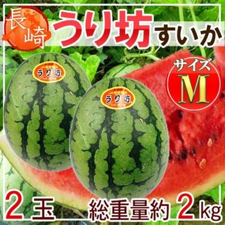 長崎県産うり坊すいか　2玉　M　 1玉約1kg(フルーツ)