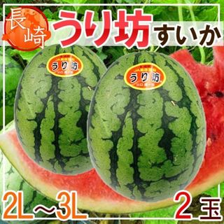 長崎県産　うり坊すいか　2Ｌ〜3Ｌ　2玉　(フルーツ)