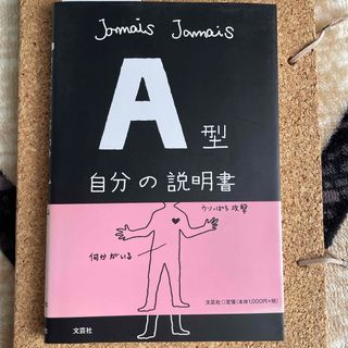 Ａ型自分の説明書(その他)