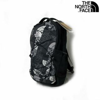 THE NORTH FACE - ノースフェイス リュック US限定(OS/28L)黒 総柄 180626