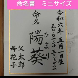 オーダー　命名書　ミニサイズ　匿名配送(命名紙)