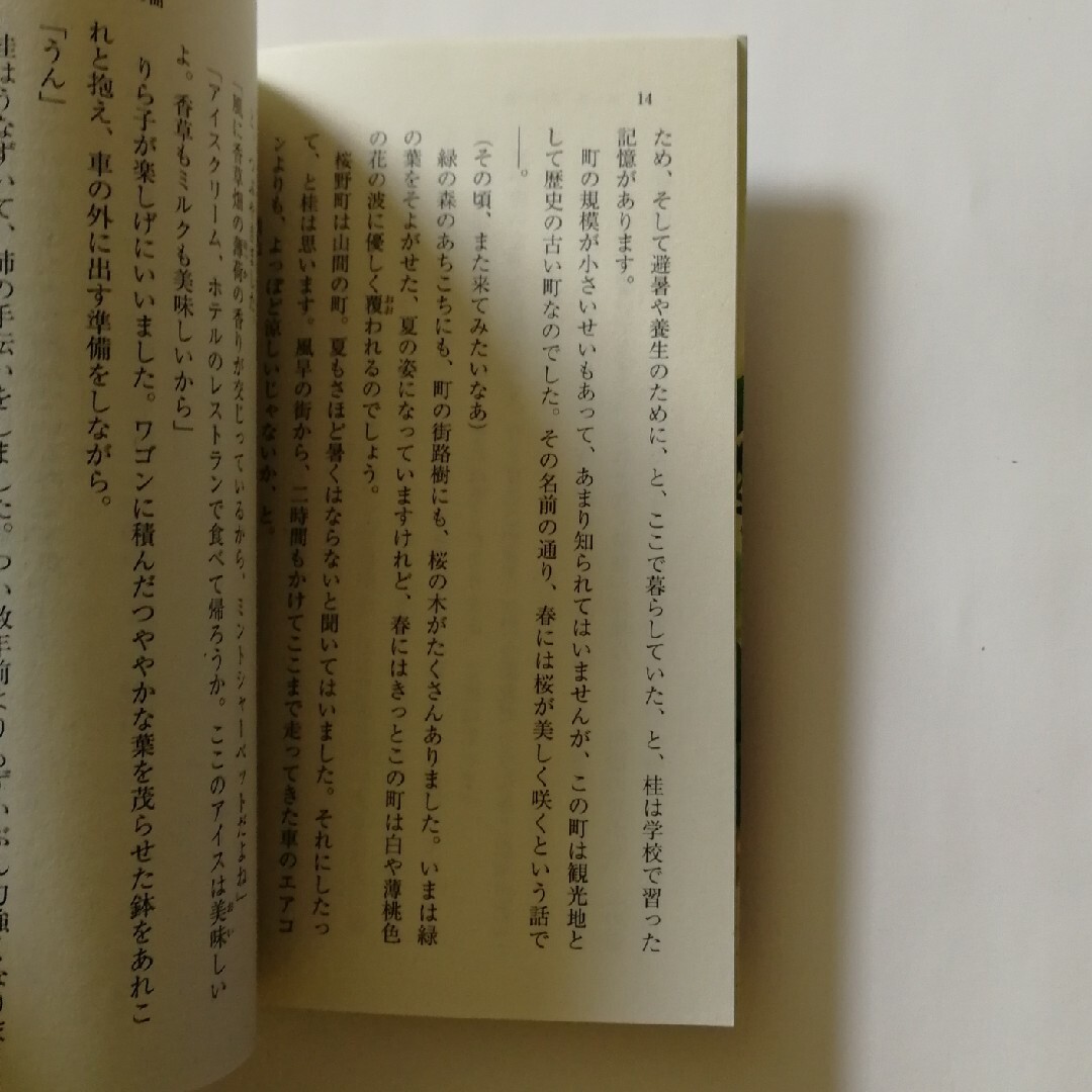 花咲家の怪 エンタメ/ホビーの本(文学/小説)の商品写真