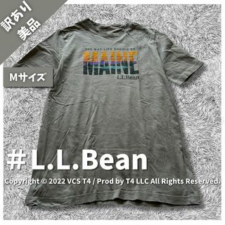 L.L.Bean - 【訳あり美品】エルエルビーン Tシャツ M グレー 春夏 プリント ✓4055