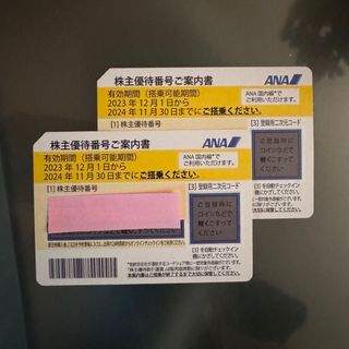 エーエヌエー(ゼンニッポンクウユ)(ANA(全日本空輸))のANA株主優待券　2枚　有効期限2024年11月30日(航空券)