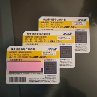 エーエヌエー(ゼンニッポンクウユ)(ANA(全日本空輸))のANA株主優待券　3枚　有効期限2024年11月30日(航空券)