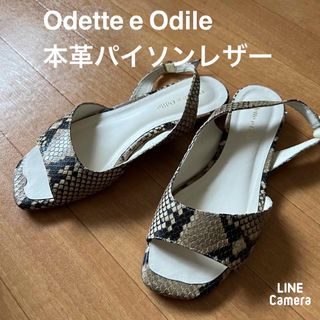 Odette e Odile リアルパイソン本革レザーサンダル　23.5