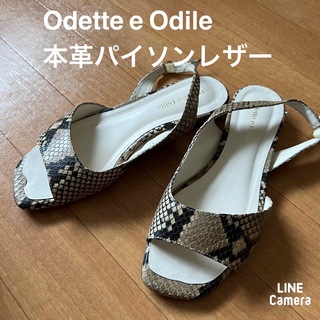 オデットエオディール(Odette e Odile)のOdette e Odile リアルパイソン本革レザーサンダル　23.5(サンダル)