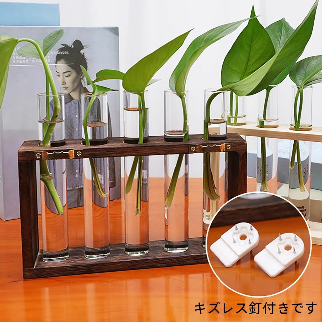 【色: ブラウン】Dimira 壁掛け ガラス プランター 植物 テラリウム モ その他のその他(その他)の商品写真