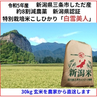 令和5年産　減農薬　新潟こしひかり玄米30kg　新潟県三条市　特別栽培米100%(米/穀物)