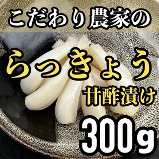 熊本県産 こだわり らっきょう甘酢漬け 300 g(野菜)