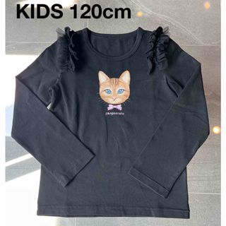 パンパンチュチュ(panpantutu)のpanpantutu パンパンチュチュ おすましキャット トップス 120(Tシャツ/カットソー)