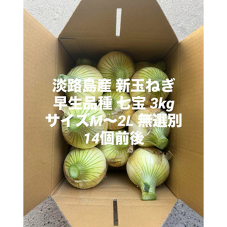 兵庫県 淡路島産 新玉ねぎ M～2L 無選別 3kg 早生品種 七宝 14個前後(野菜)