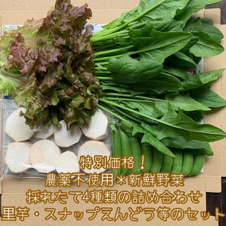 農薬不使用新鮮野菜＊採れたて4種類の詰め合わせ＊里芋・スナップえんどう＊ネコポス(野菜)