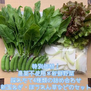 農薬不使用＊新鮮野菜＊採れたて4種類の詰め合わせ＊新玉ねぎ・ほうれん草＊ネコポス(野菜)