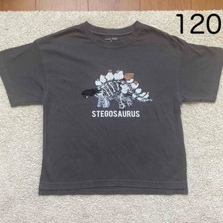 グローバルワーク　スパンコール　男の子　恐竜　半袖Tシャツ　120