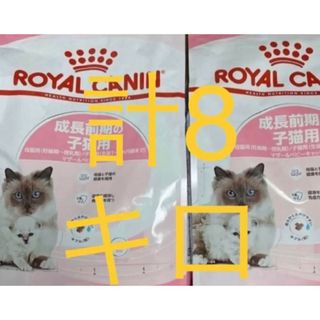 ロイヤルカナン　子猫用　 マザー＆ベビーキャット 4キロ　2袋  計8キロ(ペットフード)