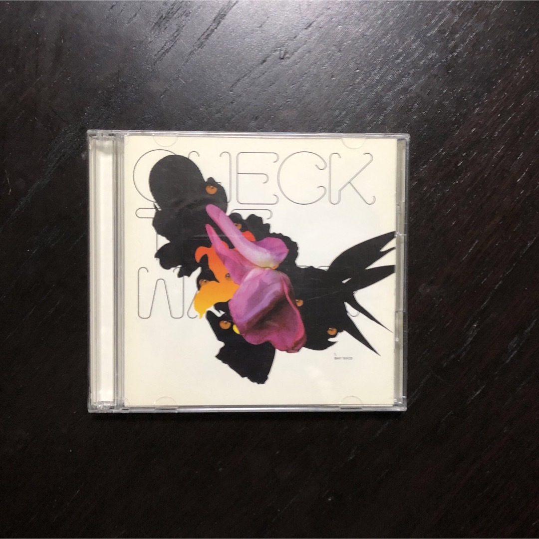 2CD check the water エレクトロニカ名盤 LEAF レーベル エンタメ/ホビーのCD(ポップス/ロック(洋楽))の商品写真