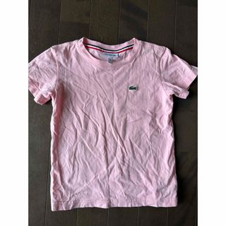 ラコステ100〜104cm Tシャツ