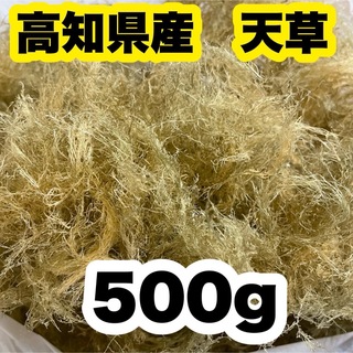 高知県産　白緑さらし天草　500g   ところてん　寒天　天然テングサ　自然食品(乾物)