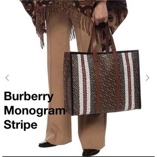 バーバリー(BURBERRY)のお値下げ！美品⭐︎バーバリー モノグラムストライプ　Eキャンバス(トートバッグ)