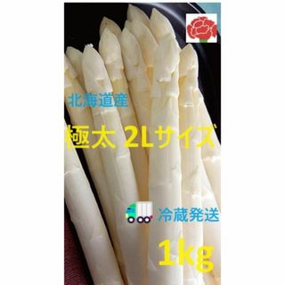 極太 北海道産 ホワイト アスパラ 2Lサイズ　1kg(野菜)