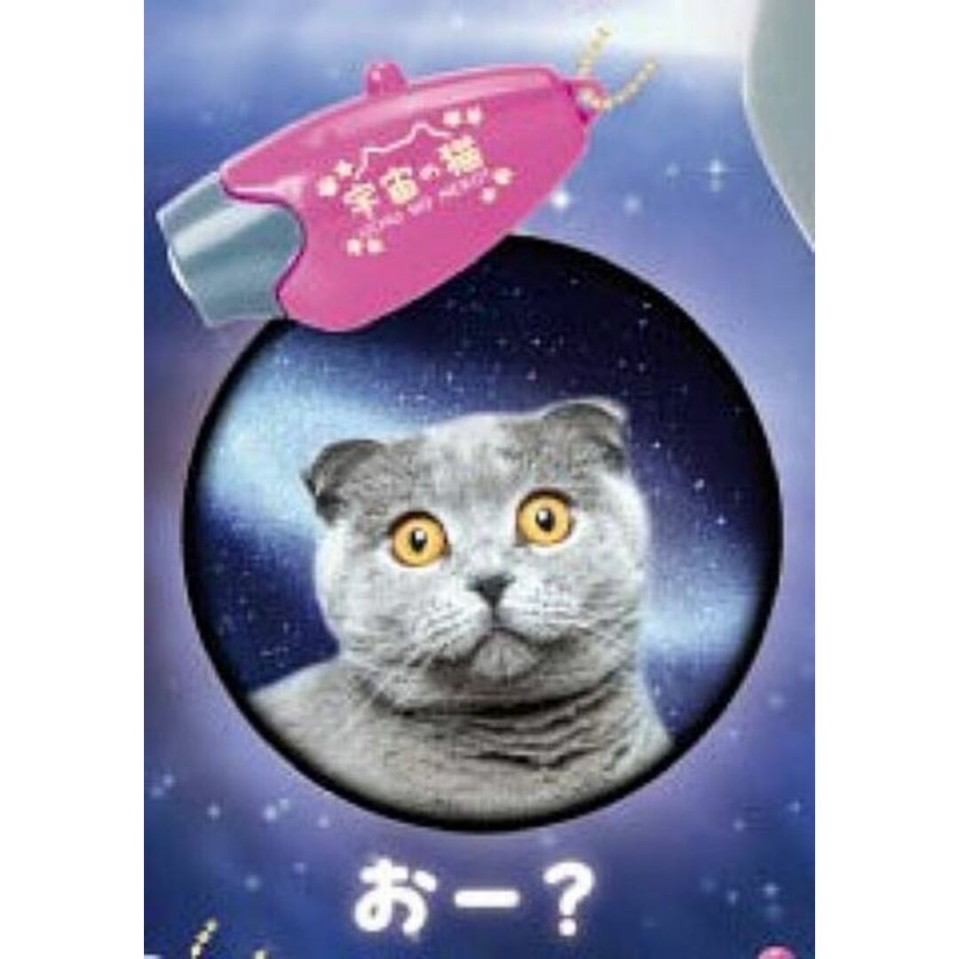【おー?】宇宙の猫ライト エンタメ/ホビーのアニメグッズ(その他)の商品写真